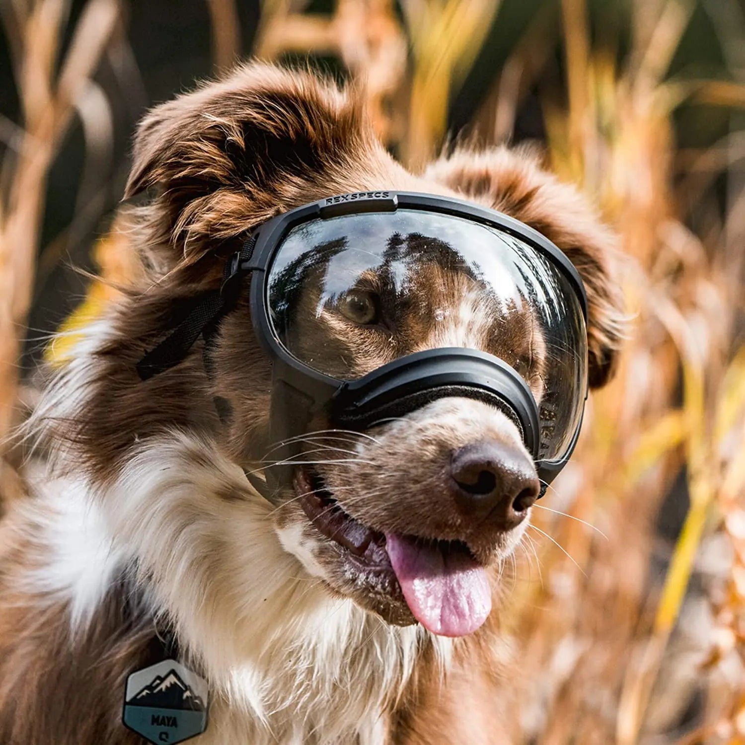 Dog sunglasses with UV protection windproof adjustable