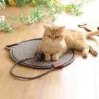 2-in-1 Cat Scratching Carpet & Play Mat