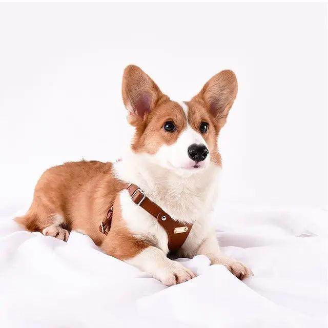 Adjustable Leather Dog Harness with Custom Engraving