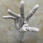 Multi-Pose Drawing Sculpting Art Hand Model