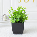 Leafora Artificial Eucalyptus Plant in Black Pot | Mini Decorative Plant | For Table, Bathroom & Office