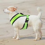 LED Dog Harness USB rechargeable & adjustable