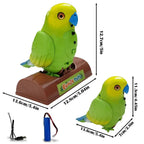 Interactive parrot that repeats everything