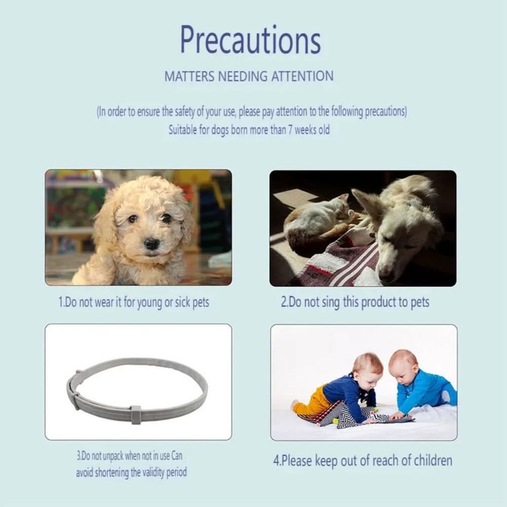 Flea & Tick Protection Collar for Dogs & Cats