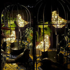 Light-up Birdcage