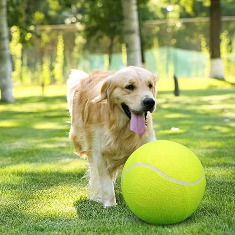 Extra large tennis ball for dogs