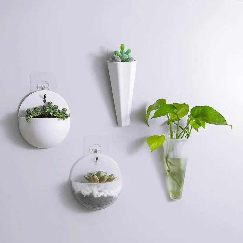 FloataWall Planter | Floating Design | Self-adhesive for Modern Wall Decoration