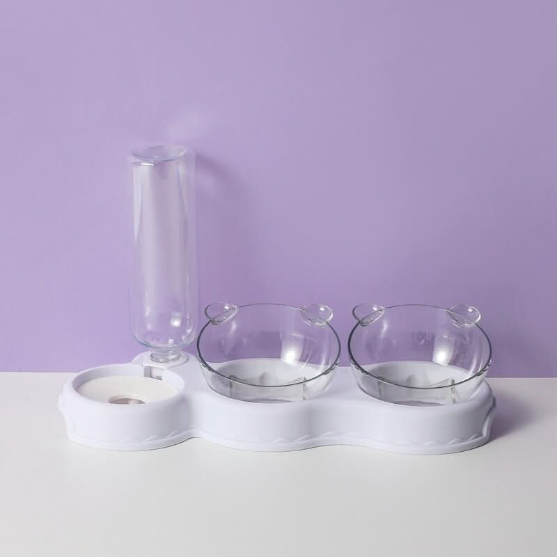3-in-1 feeding station with drinking dispenser & raised bowl