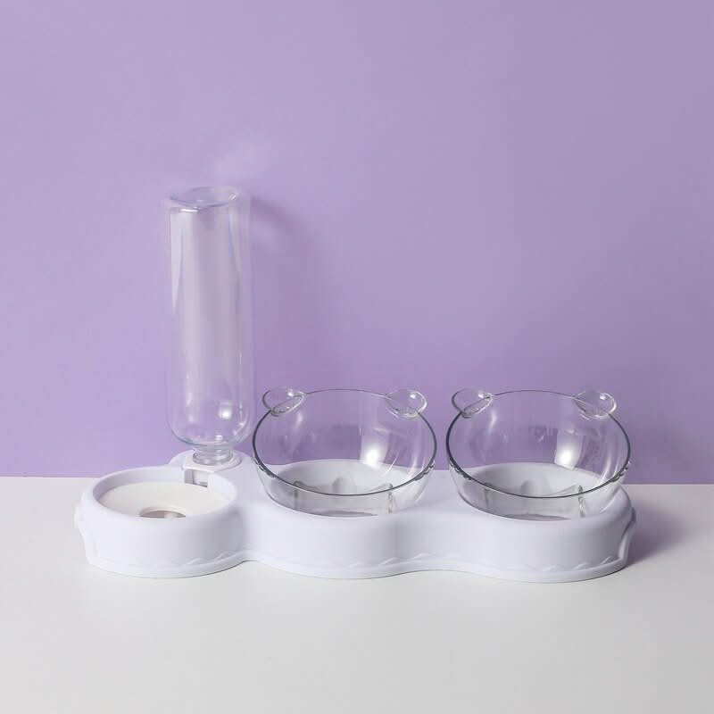 3-in-1 Feeding Station with Water Dispenser & Elevated Bowl