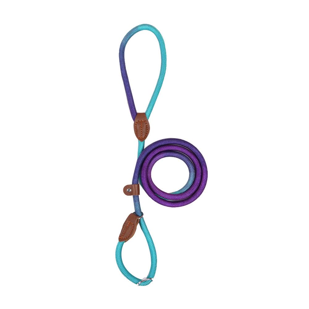 Colorful Dog Leash for Stylish Walks