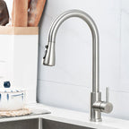 Modern Single-Handle Faucet with Pull-Out Spray