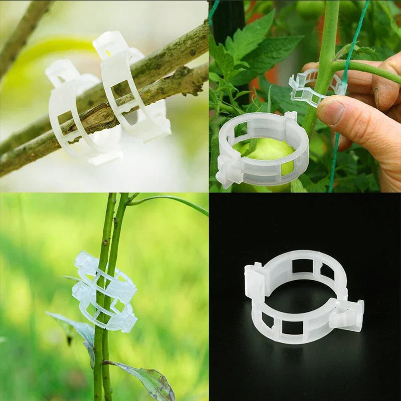 Plastic clamps for plant support | Grafting and fixing tool!