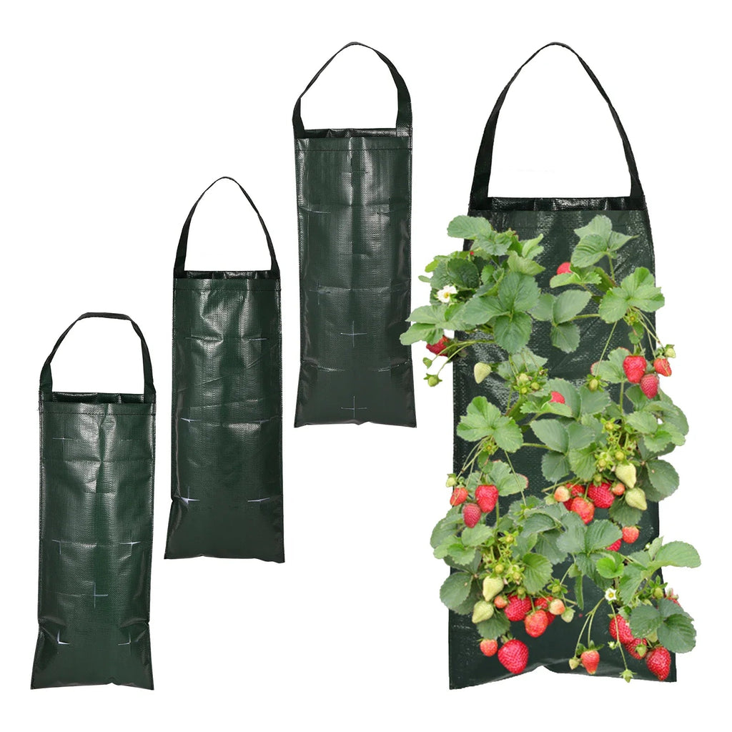 VertiBloom Wall Planting Bag for Strawberries & Herbs | 6/8/10 Pockets | Vertical Garden Planting Bag made of PE for Indoor & Outdoor