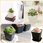 Bloomigo Mini Flower Pot Set | Bright Colors | Weatherproof & Ventilated | For Balcony & Indoor