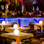 Moon Battery LED Indoor & Outdoor Table Lamp