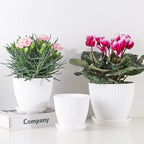 Florava Flower Pot | Breakproof & Modern | For Indoors & Outdoors | Breathable Design