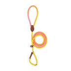 Colorful Dog Leash for Stylish Walks