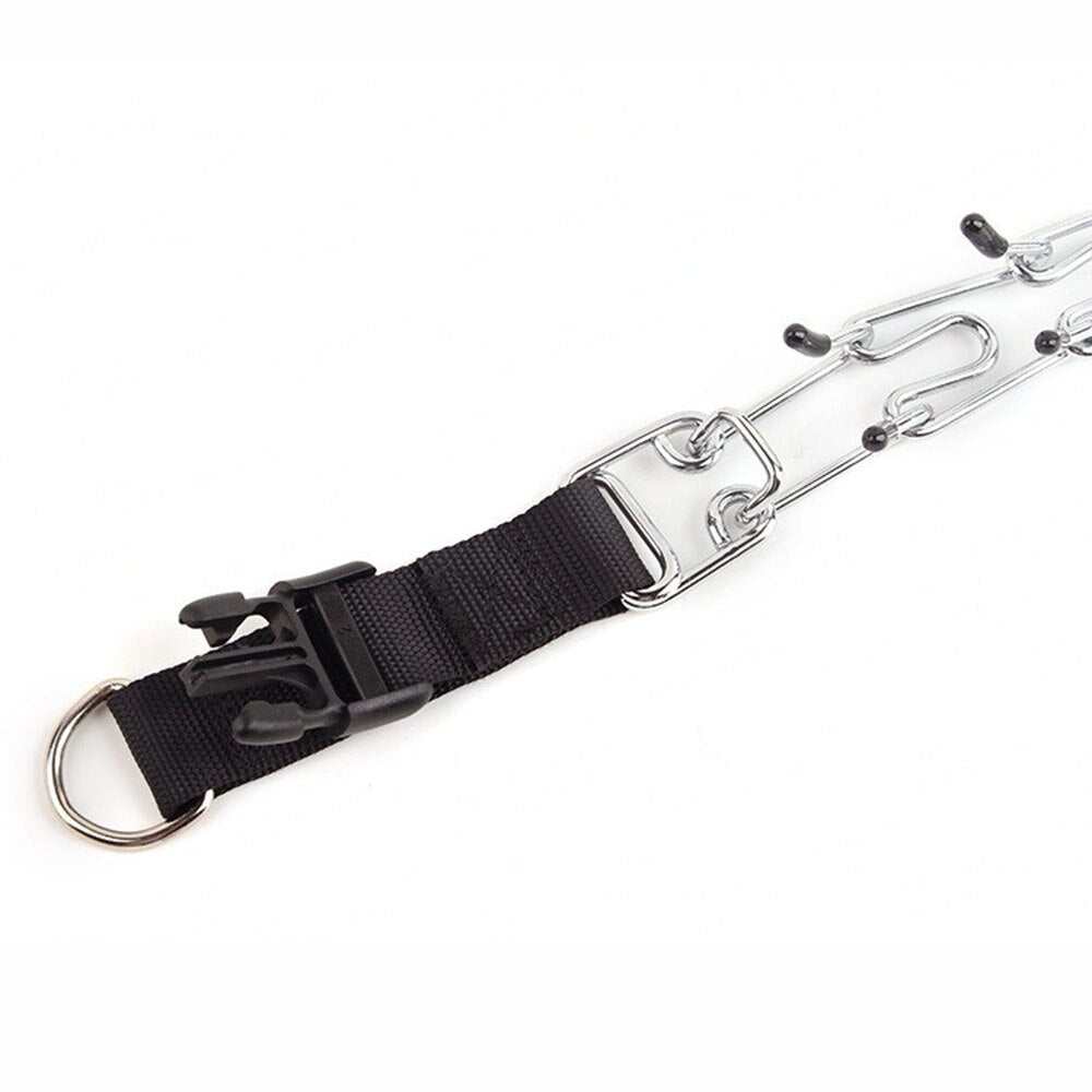 Dog Pincher Collar - Stylish C