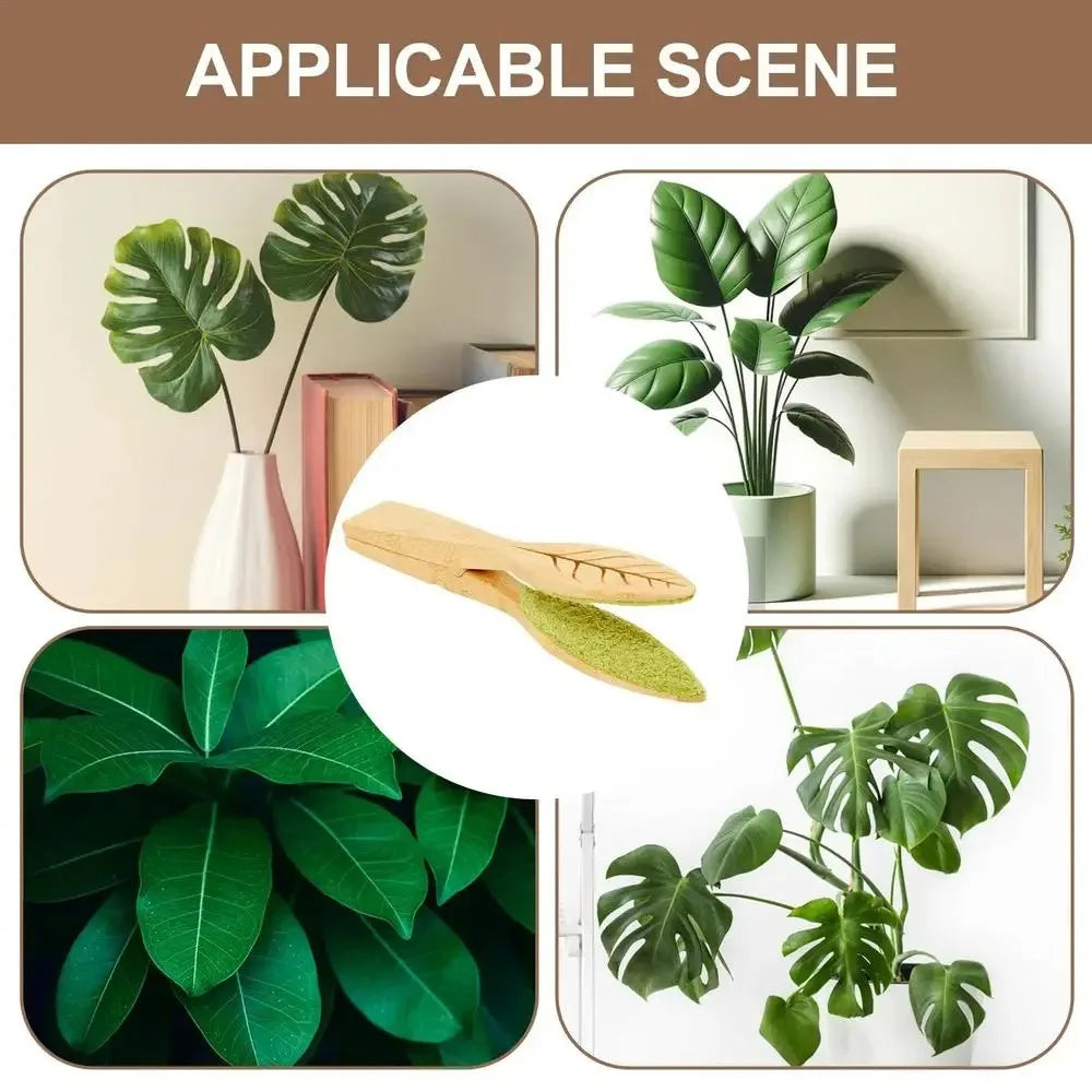 Plant leaf cleaning tongs made of wood for gentle leaf care