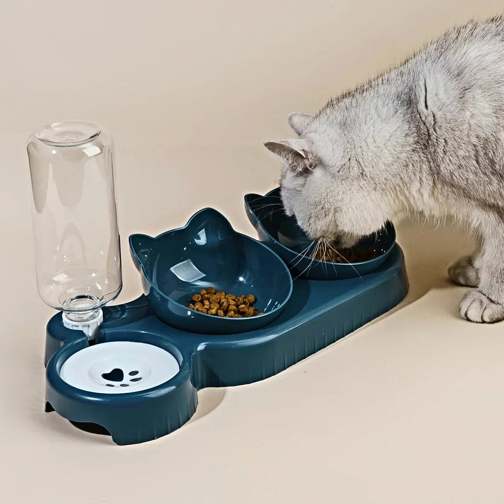 Comfortable meals for purring pets