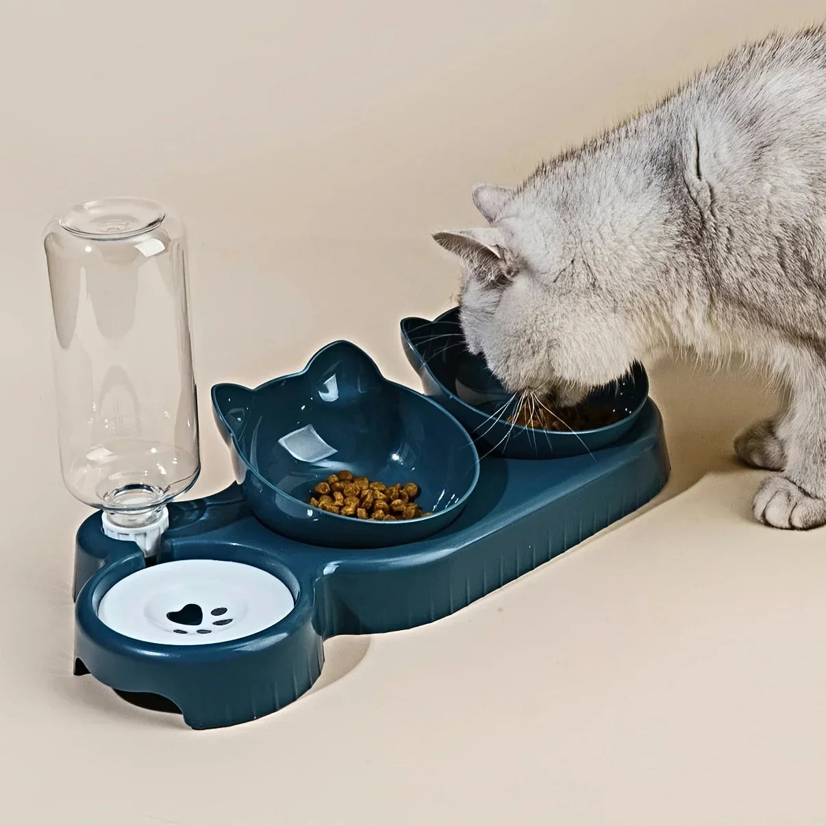 Comfortable meals for purring pets