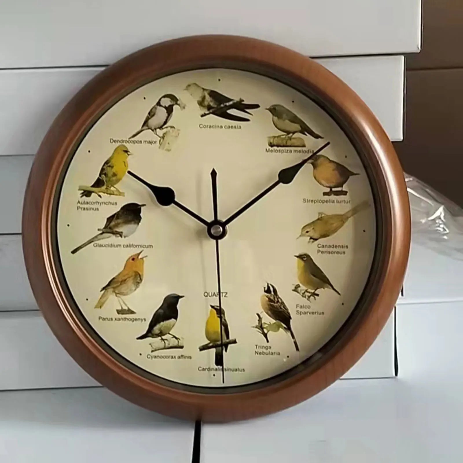 BirdSong Clock – 10 Inch Wall Clock for Stylish Interior