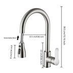 Kitchen faucet with pull-out spout – Brushed Nickel