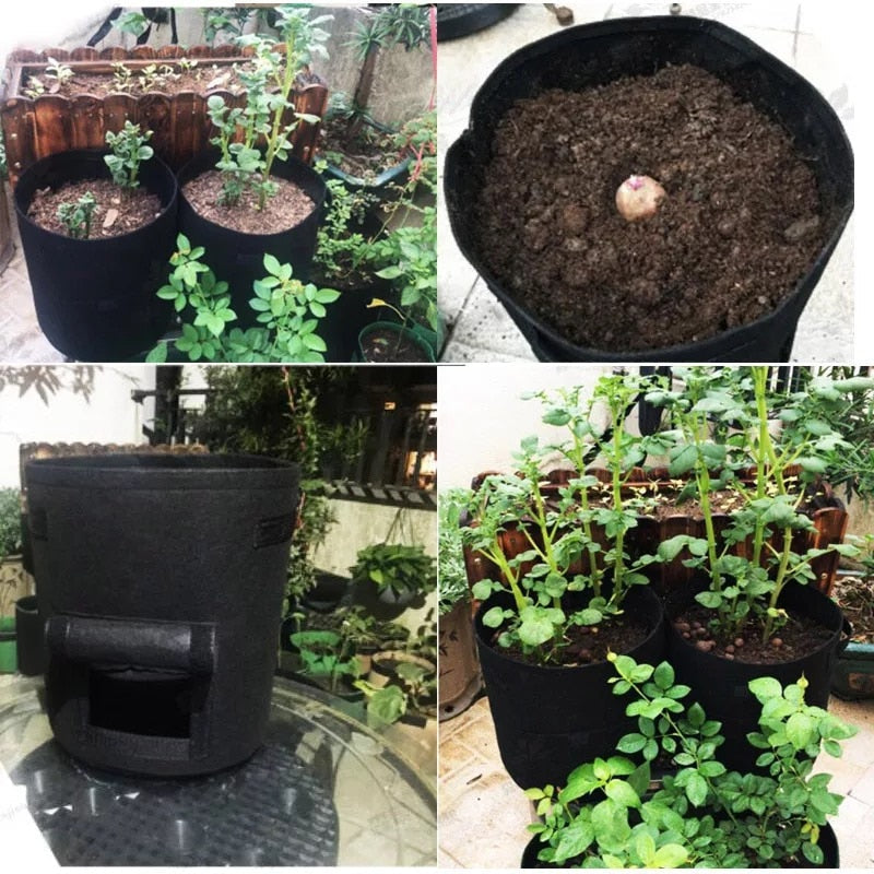 GrowMaster Pots – Stylish Grow Pot for Vegetables