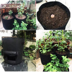 GrowMaster Pots – Stylish Grow Pot for Vegetables
