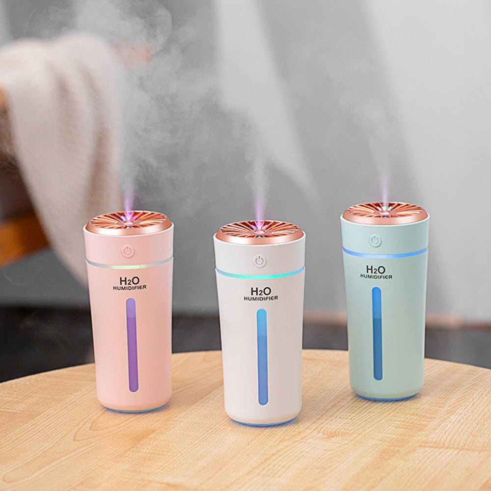 H2O Humidifier
