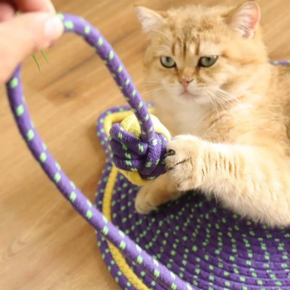 2-in-1 Cat Scratching Carpet & Play Mat