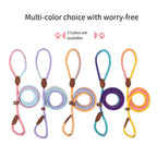 Colorful Dog Leash for Stylish Walks