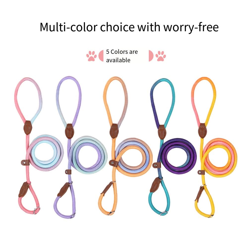 Colorful Dog Leash for Stylish Walks