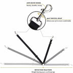 Luxury Dog Car Leash for Safety