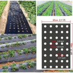 AgroShield Weed Fabric | Black Mulch Film | Plant Protection & Yield Increase | Ideal for Greenhouses