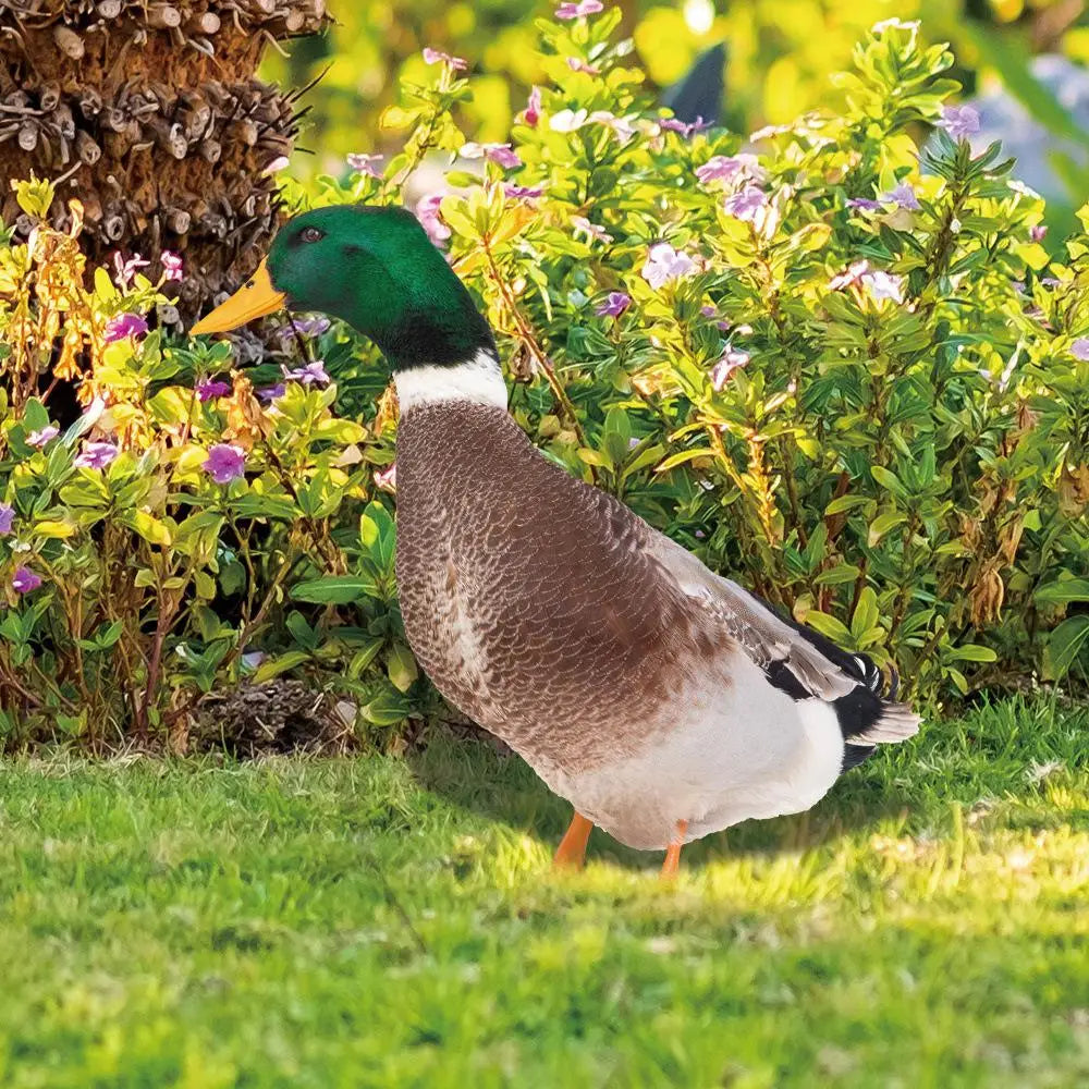 DuoDuck Realistic Double-Sided Gray Feather Sculpture