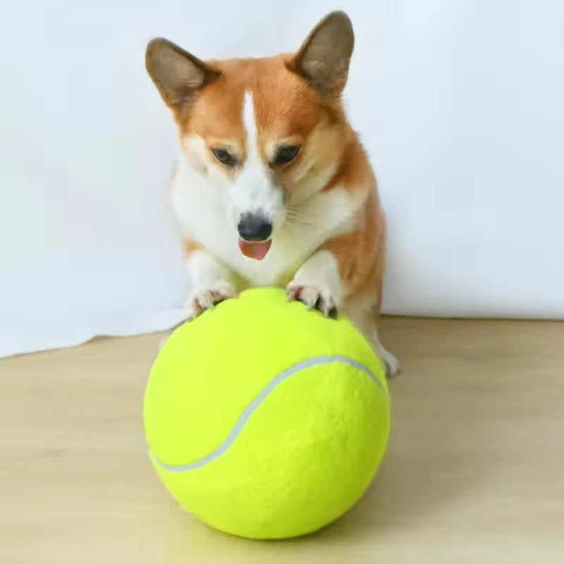 Extra large tennis ball for dogs