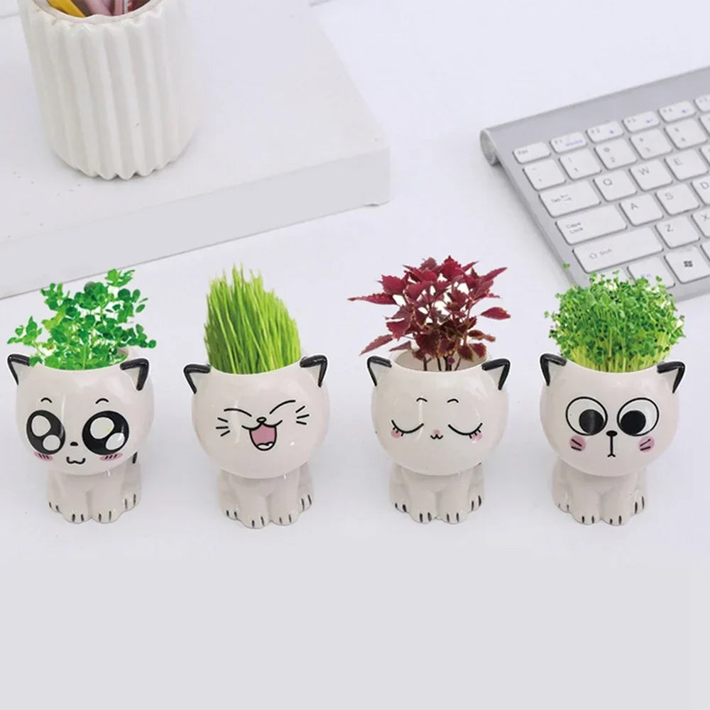 PurrPlant Mini Ceramic Pot | Cute Cat Design | For Desk & Decor