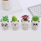 PurrPlant Mini Ceramic Pot | Cute Cat Design | For Desk & Decor