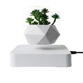 Magnetic Levitating Bonsai Planter, Floating Flower Pot for Home and Office Décor