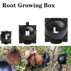 Plant protection balls for roots – Protective caps for safe replanting and growth
