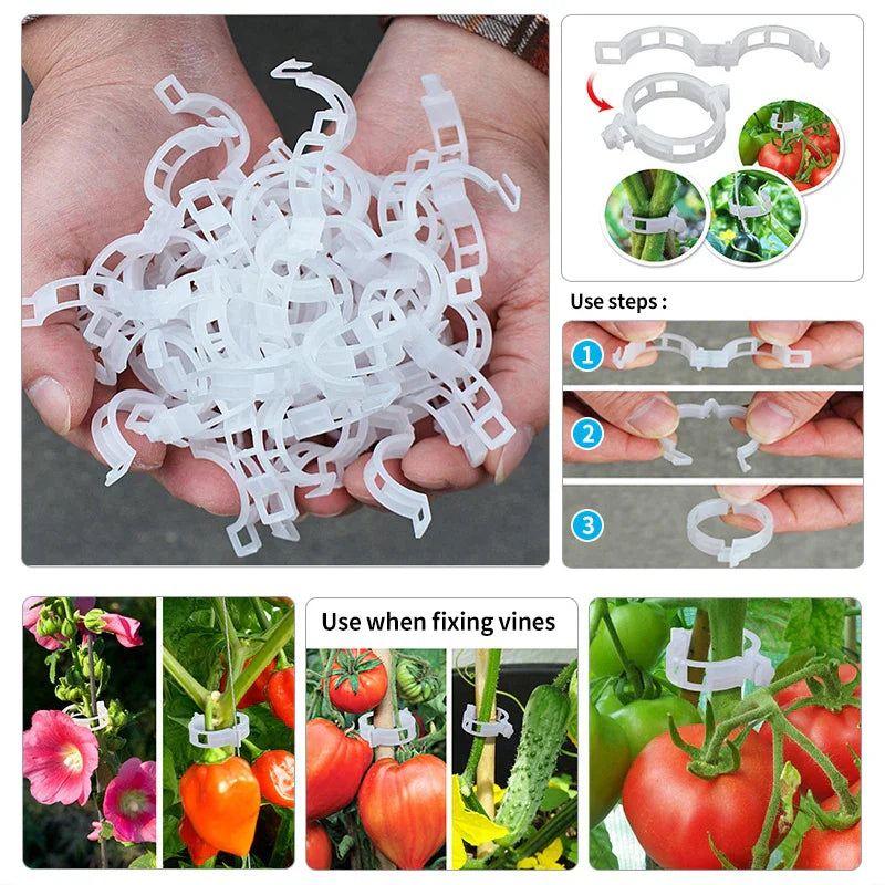 Plastic clamps for plant support | Grafting and fixing tool!