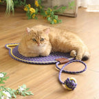 2-in-1 Cat Scratching Carpet & Play Mat