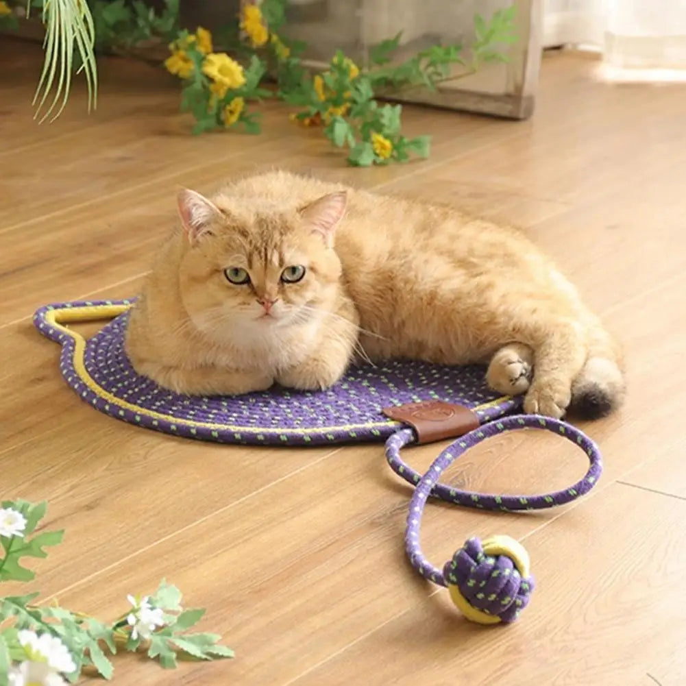 2-in-1 Cat Scratching Carpet & Play Mat