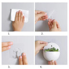 FloataWall Planter | Floating Design | Self-adhesive for Modern Wall Decoration