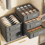ClarityBox Wardrobe Organizer | Collapsible & Space-Saving | High-Quality Non-Woven Fabric Material