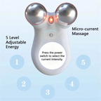 Dual-Head RF & EMS Microcurrent Facial Rejuvenation Device