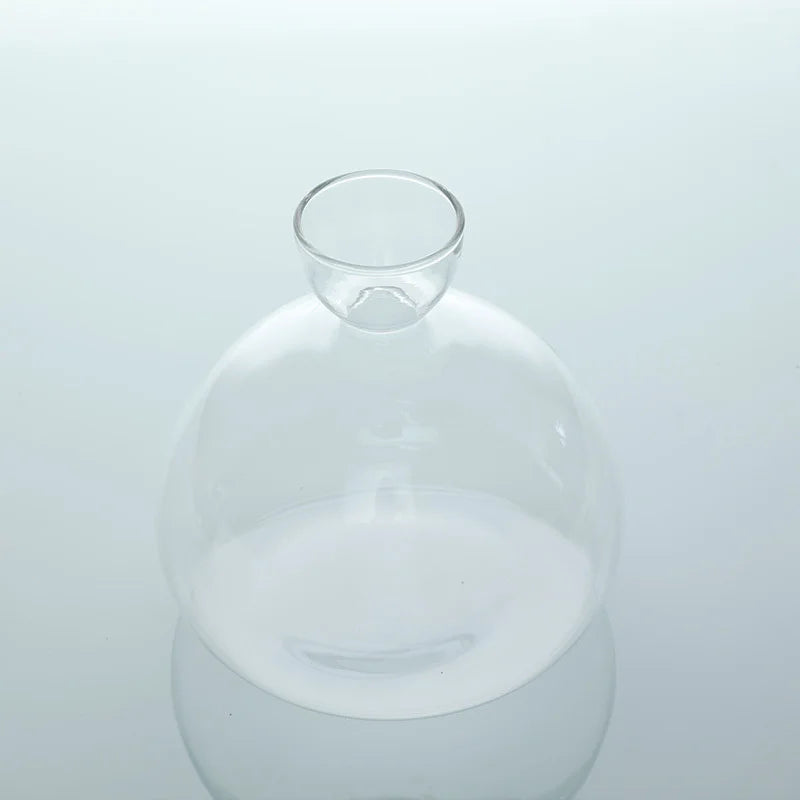 Avocado Vase Glass | Transparent Germination Glass | Plant Container for Avocado Cultivation | 10–15 cm