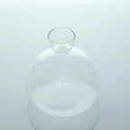 Avocado Vase Glass | Transparent Germination Glass | Plant Container for Avocado Cultivation | 10–15 cm