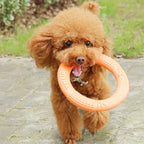 Floating EVA Training Ring for Dogs